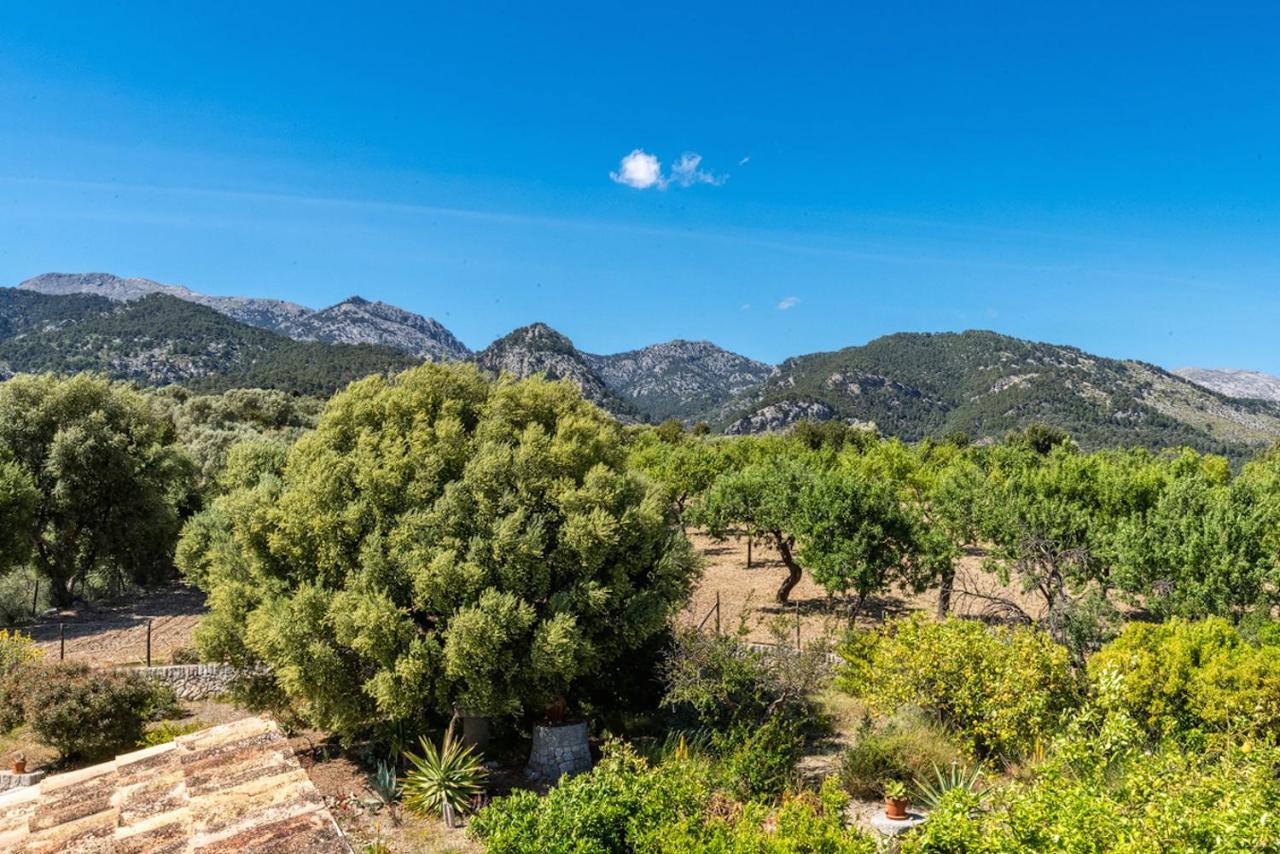 Finca Son Arnau Selva  Bagian luar foto